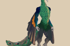 java-peacock